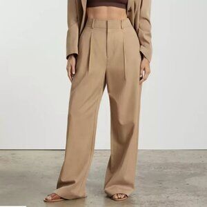 Everlane Italian Wool Way-High Drape Pant
